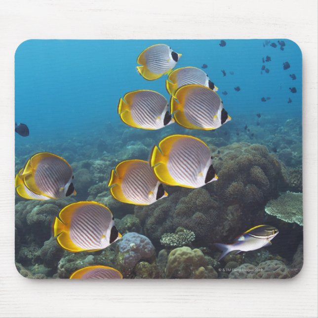 Bali, Indonesia Mouse Mat (Front)