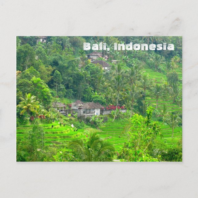Bali, Indonesia Postcard (Front)