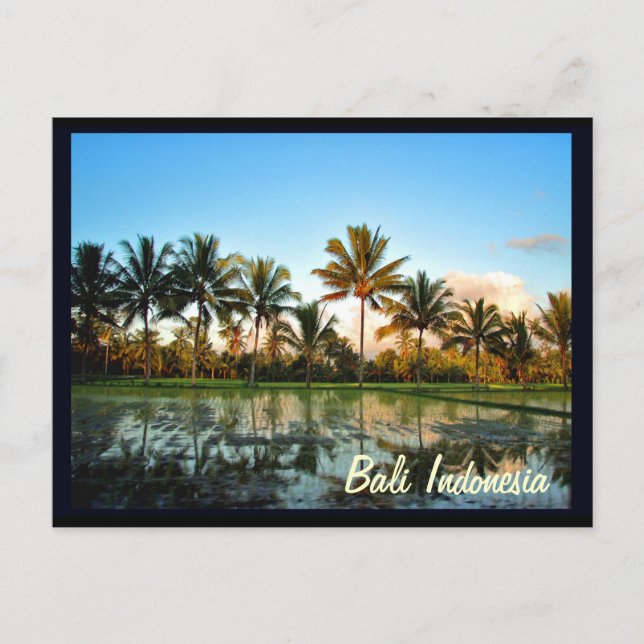 Bali Indonesia Postcard (Front)