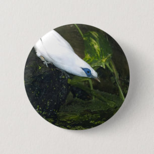 Bali Myna 6 Cm Round Badge
