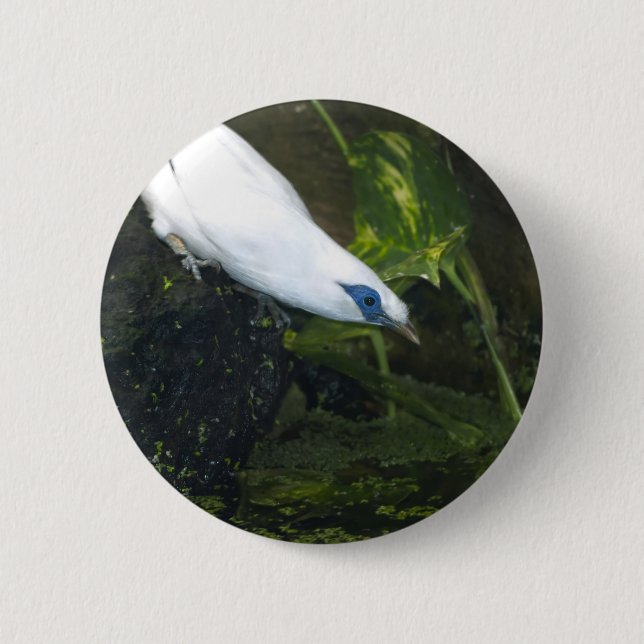 Bali Myna 6 Cm Round Badge (Front)