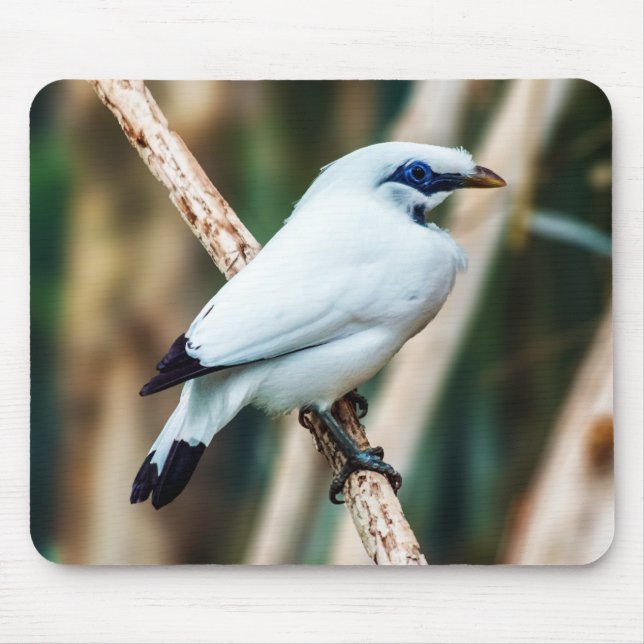 Bali Myna Bird Mousepad (Front)