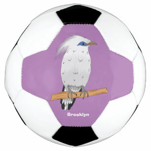 Bali Myna tropical exotic bird Football