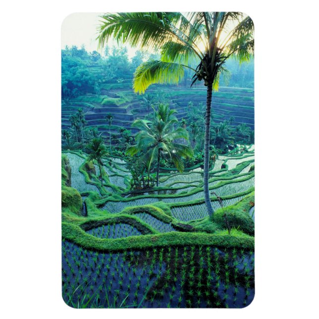 Bali | Overview Of Rice Terraces Magnet (Vertical)