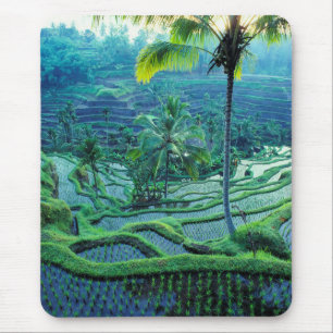 Bali Overview Of Rice Terraces Mouse Mat