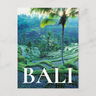 Bali | Overview Of Rice Terraces Postcard