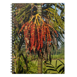 Bali Palm Fruit Rice Field Notebook