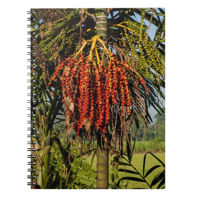 Bali Palm Fruit Rice Field Notebook (Front)