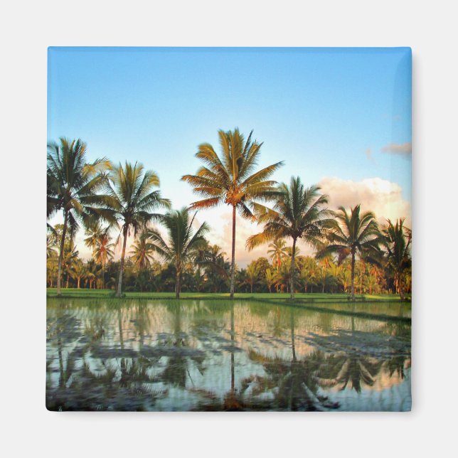 Bali Palm Trees magnet (Front)