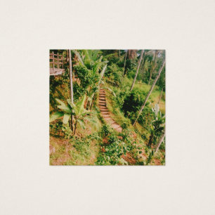 Bali rainforest Stairway