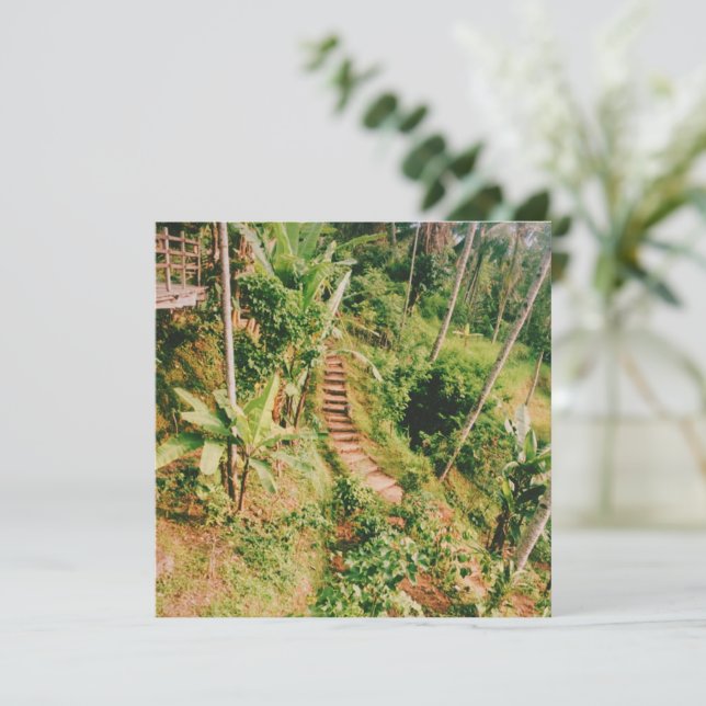 Bali rainforest Stairway  (Standing Front)