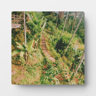 Bali rainforest Stairway Plaque