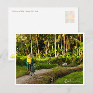 Bali Rice Field Sunset Postcard