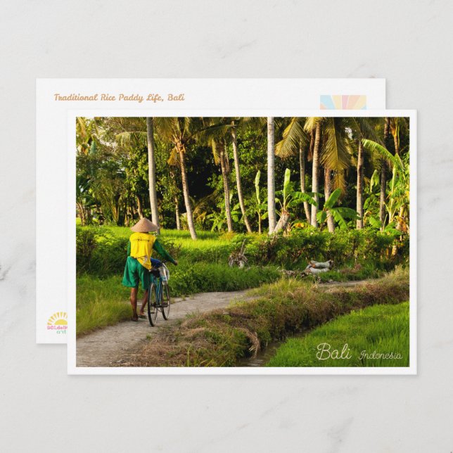 Bali Rice Field Sunset Postcard (Front/Back)