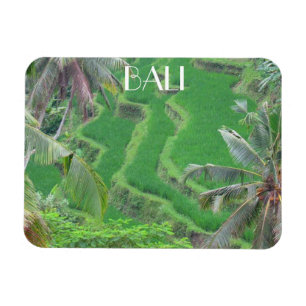bali rice terraces magnet