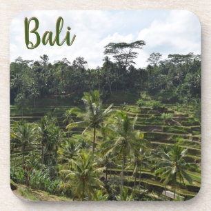 Bali Ubud Terraced Rice Fields Coaster