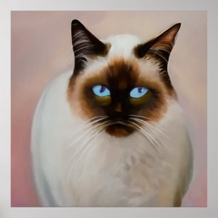 Balinese Cat  Poster