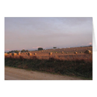 Baling Corn stalks
