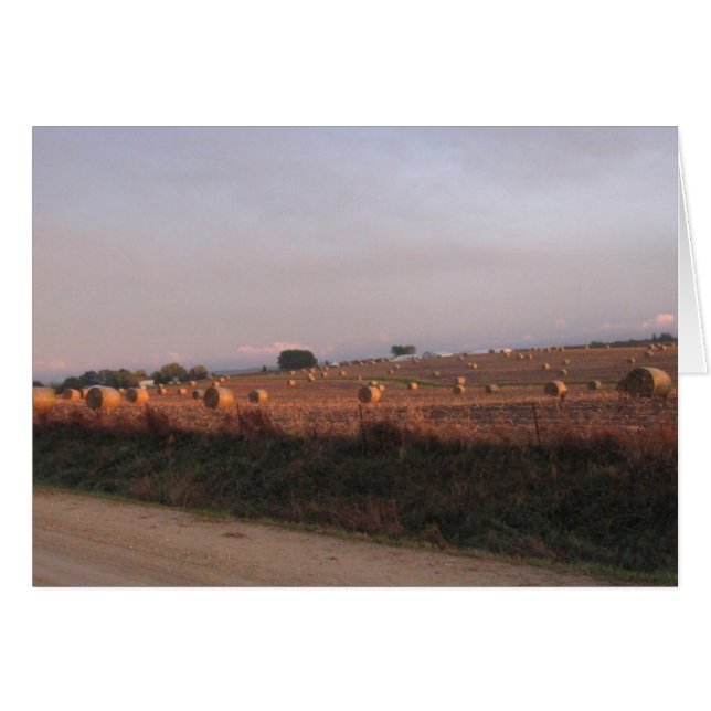 Baling Corn stalks (Front Horizontal)