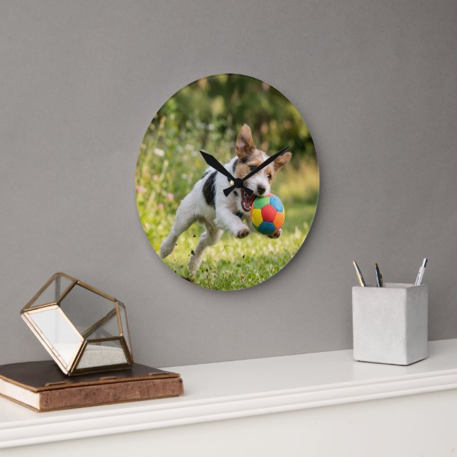 ball dog large clock (Office)