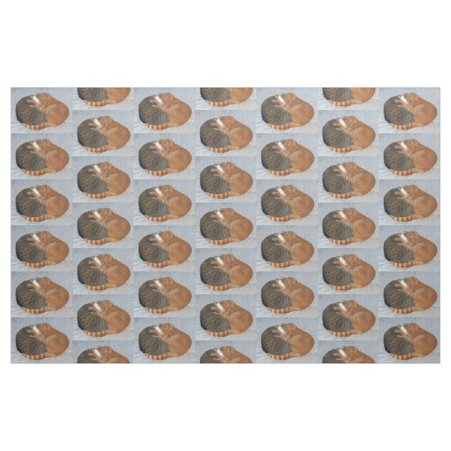 Ball of Cuteness Fabric (Fat Quarter)