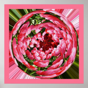 Ball of tulips floral art poster