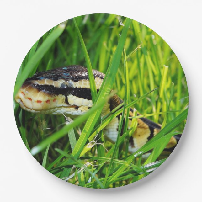 ball python in grass.png paper plate (Front)