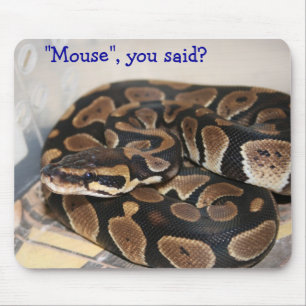 Ball Python interested in mouse. Mouse Mat