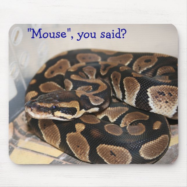 Ball Python interested in mouse. Mouse Mat (Front)