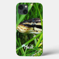 Ball Python Snake in the Grass