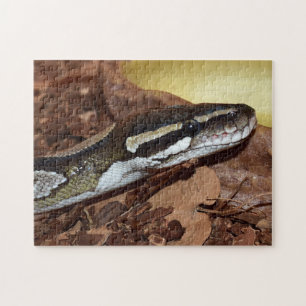 Ball Python Snake Jigsaw Puzzle
