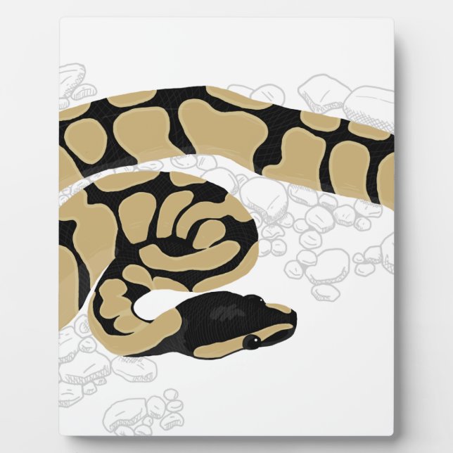 Ball Python Snake Plaque (Front)