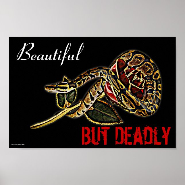 Ball Python Snake poster (Front)