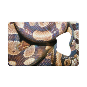 Ball Pythons 2