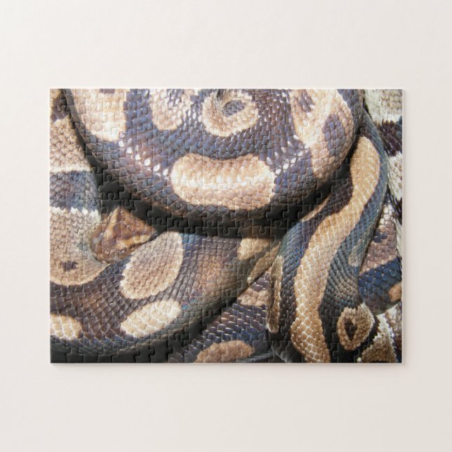 Ball Pythons 2 Jigsaw Puzzle (Horizontal)