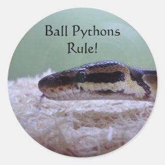 Ball Pythons Rule! Classic Round Sticker
