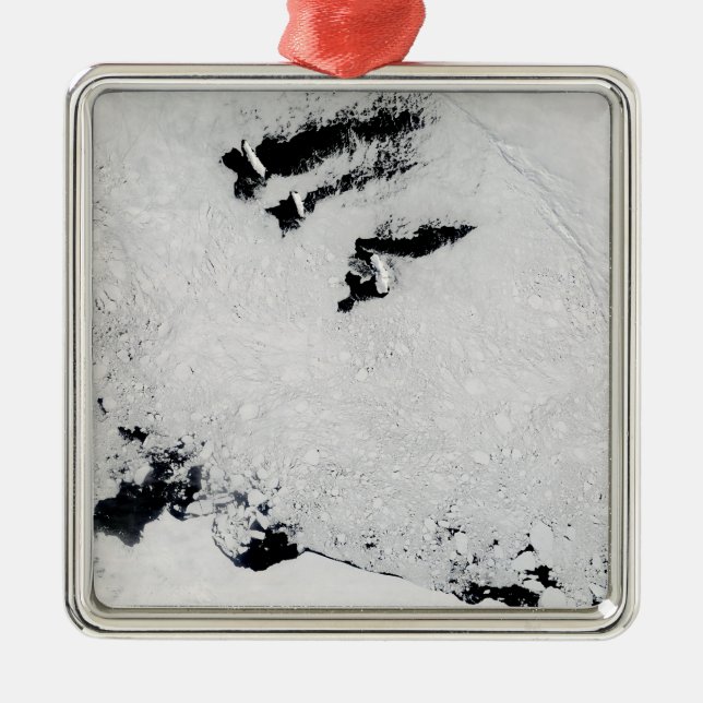 Balleny Islands, near Antarctica Metal Tree Decoration (Front)