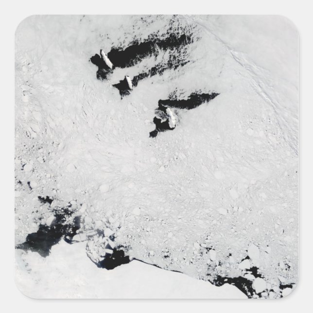 Balleny Islands, near Antarctica Square Sticker (Front)