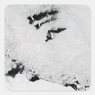 Balleny Islands, near Antarctica Square Sticker
