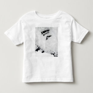 Balleny Islands, near Antarctica Toddler T-Shirt