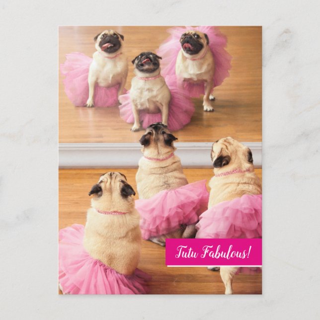 Ballerina Pugs In Tutus Invitation Postcard (Front)