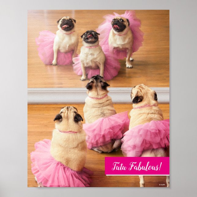 Ballerina Pugs In Tutus Poster (Front)