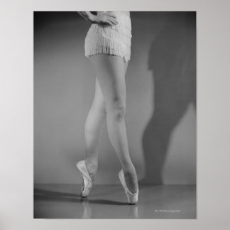 Ballet Dancer Poster