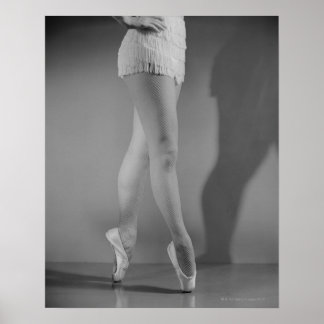 Ballet Dancer Poster