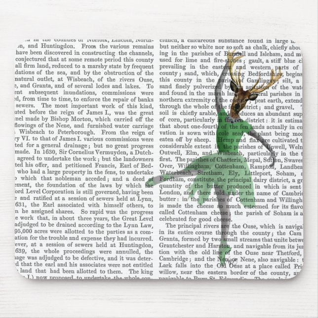 Ballet Deer in Green Mouse Mat (Front)