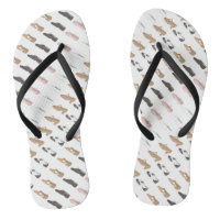 Ballet Tap Jazz Lyrical Acro Character Dance Shoes