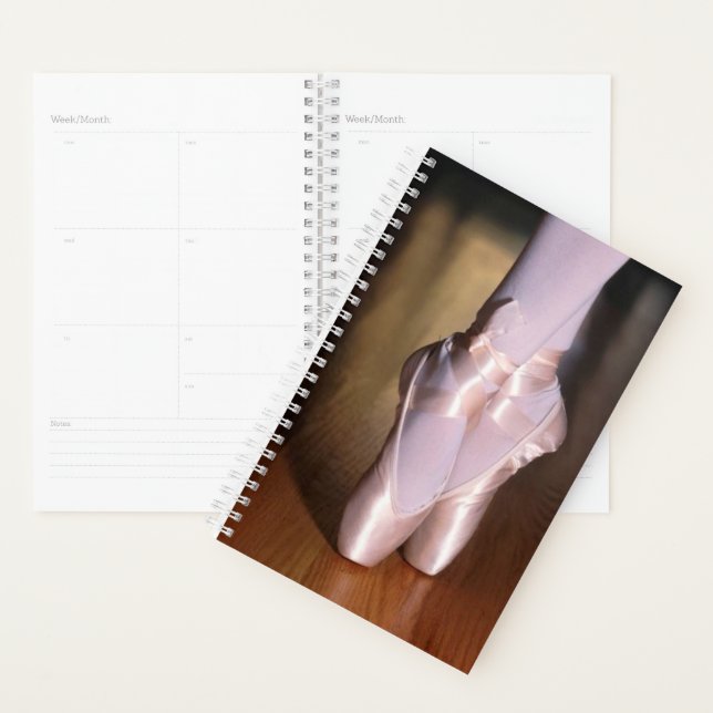 Ballet Toe Shoes Planner (Display)
