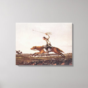 Balling Ostriches Canvas Print