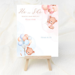 Balloon Bear Boy or Girl Gender Reveal Vote Poster