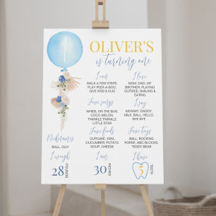 Balloon Boy First Birthday Milestone Sign